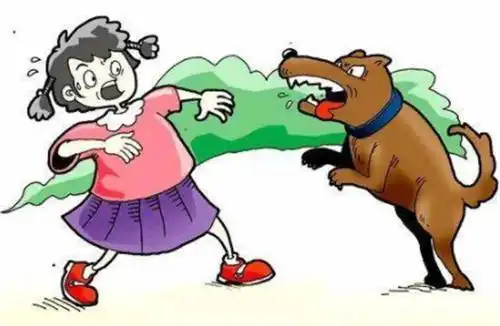 民法典:有关宠物狗咬伤人引发的法律问题