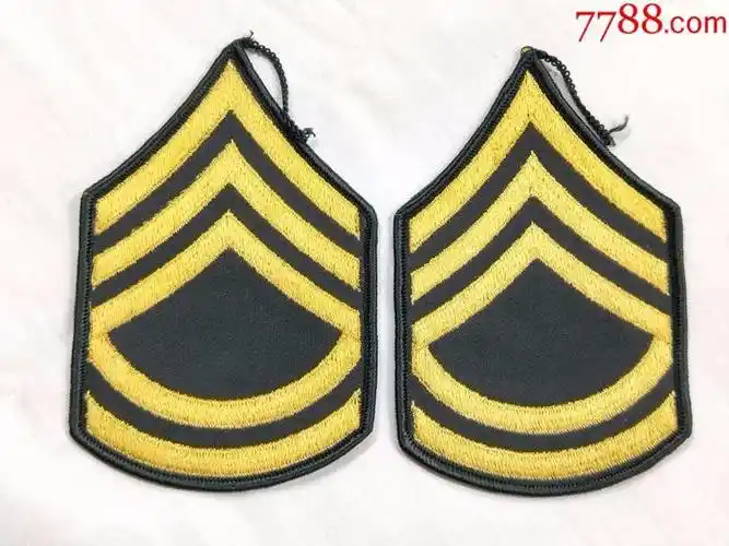 上士(三级军士长)臂章一对.库存未使用品