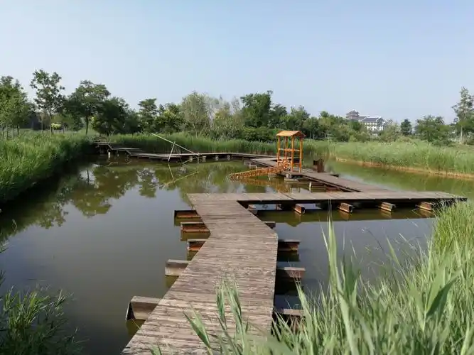 夏游团泊湿地公园