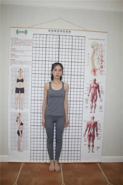 评估健美瑜伽壁画健身房墙纸体态运动保健