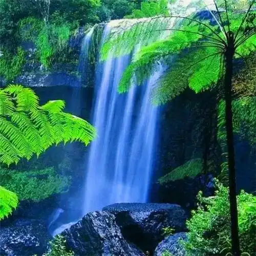 爸爸们爱用的头像