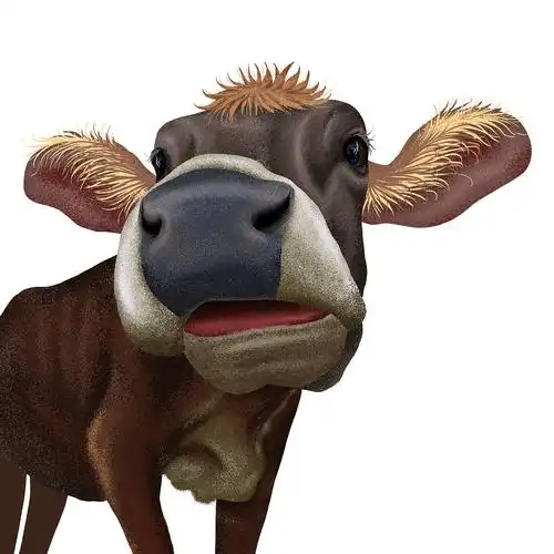 牛|插画|创作习作|哗哩狐哨 - 原创作品 - 站酷 (zcool)