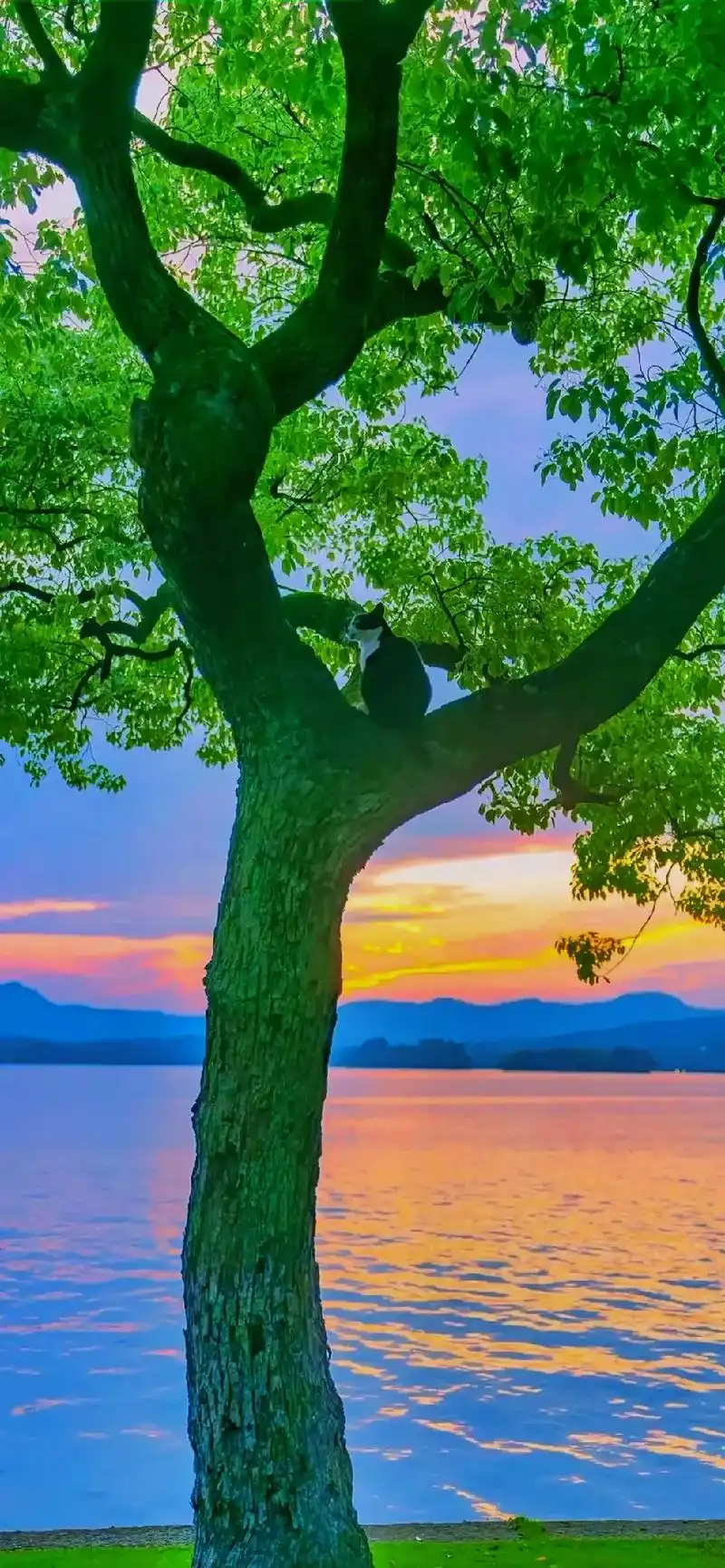 桌面壁纸分享,好看可以收藏起来哦#高清壁纸 #壁纸 #个性壁 - 抖音