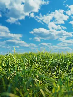 真实汽车摄影图片ai图片免费下载_png格式_4368像素_编号59297095-千