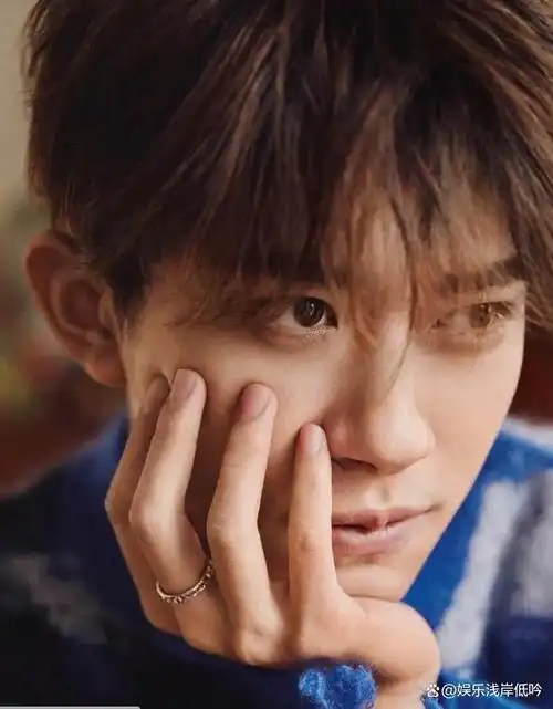 与此同时,王源和王俊凯的光芒略显黯淡,有人开始在这