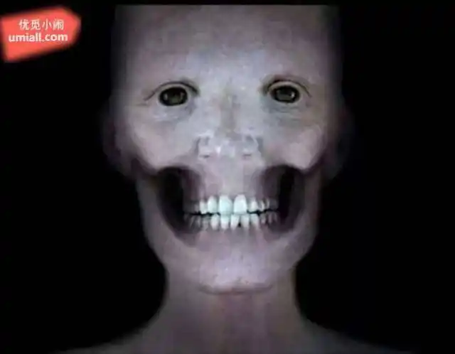 这是…拍电影吗?拜托是拍电影!13. 又是谁放的?12.