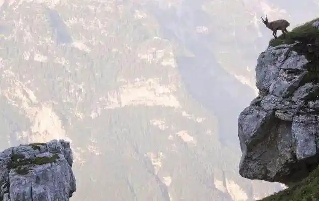 震惊悬崖边搏斗失败者跳崖赢者抱得美人归