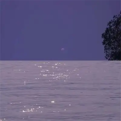 拥有ins高级质感的清新风景头像