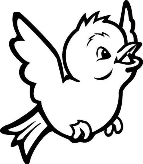 可爱的卡通小鸟简笔画彩色图片卡通手绘鸟简笔画动物彩色鹦鹉鸟类飞翔