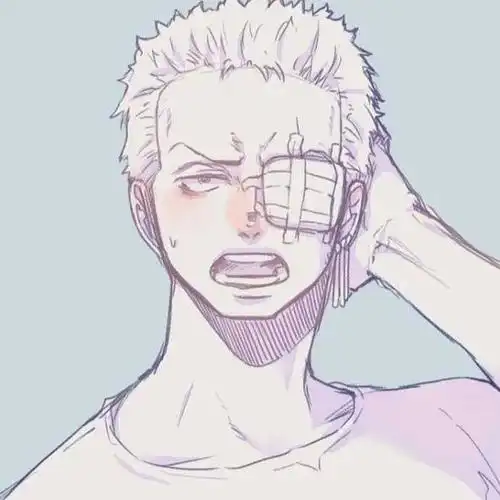 海贼王头像索隆帅头