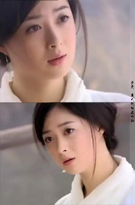 蒋欣《仙剑奇侠传》【女苑】舍却残生犹不悔,身已空,尽成泪.