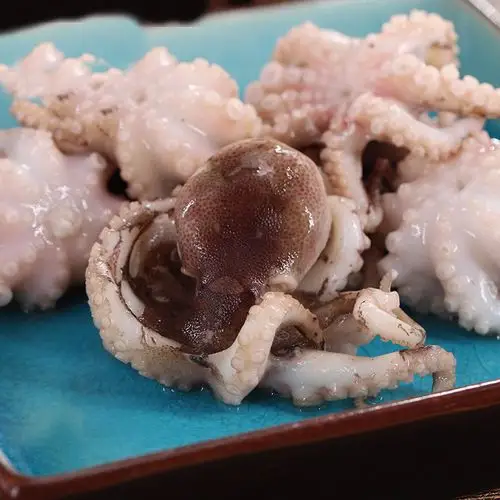 轻恋 八爪鱼 新鲜小章鱼 小八爪鱼 顺丰 小八带鱼 短腿小八爪鱼 3kg