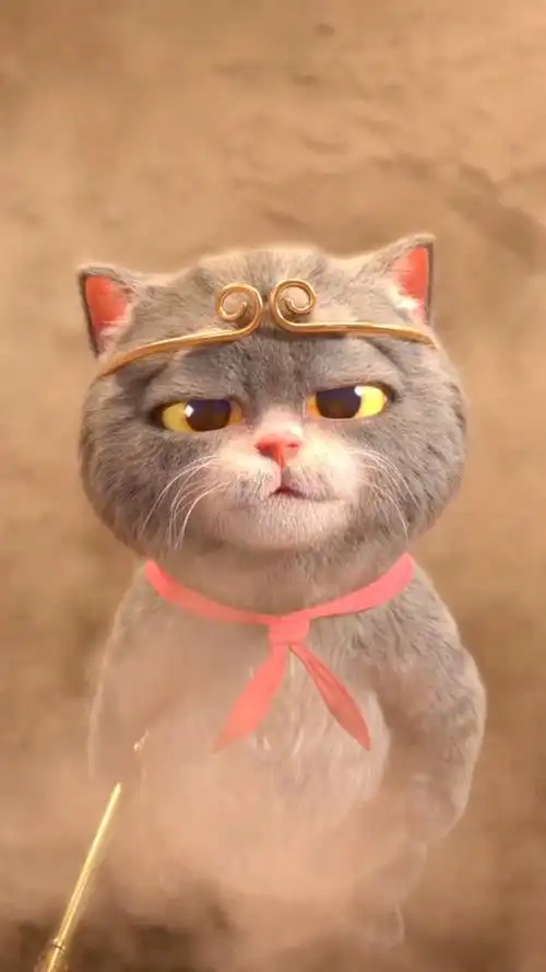 斑布猫之大话西游