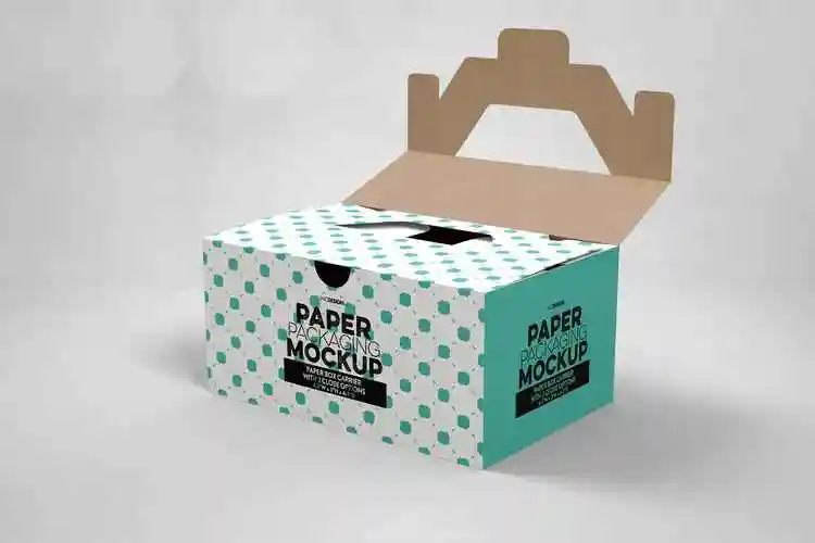 产品包装纸箱设计效果图样机 paper carrier with 2 closure options