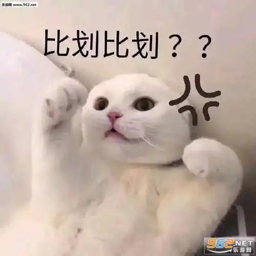 比划比划表情包