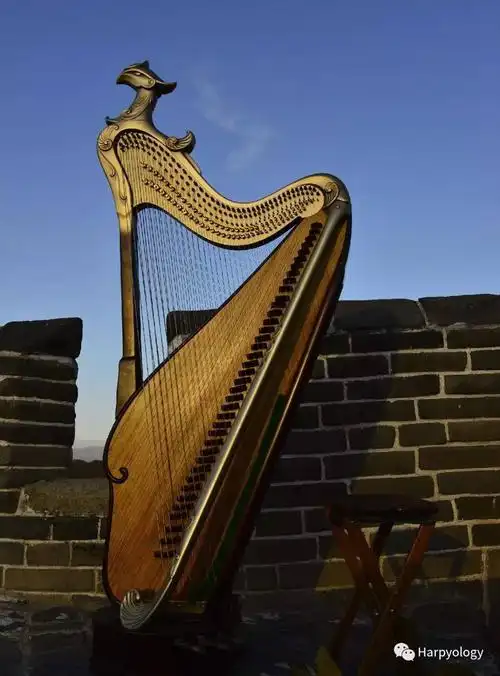 2017世界竖琴大会在香港～小chit chat #5:弘韵箜篌乐团