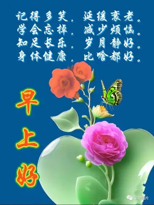 下午图片大全下午好图片最新版下午好问候下午好祝福祝健康幸福