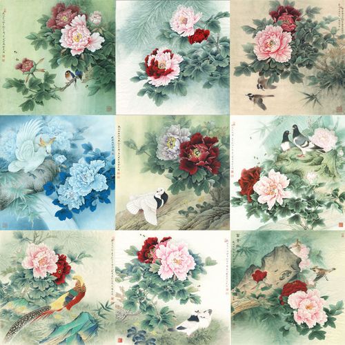 t025李晓明工笔画牡丹斗方9幅白描底稿线描稿临摹勾线实物打印稿