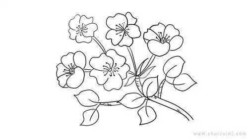 梅花简笔画古风,梅花简笔画简单又好看_竞价网