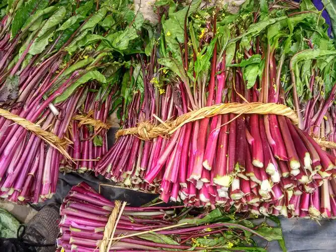 农家新鲜红菜苔紫色菜苔洪山菜薹新鲜时令蔬菜8斤
