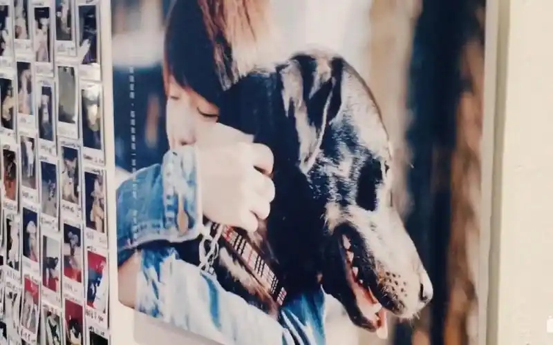 【lgbt】【彩虹】love is love / 谢谢你,教我爱的定义