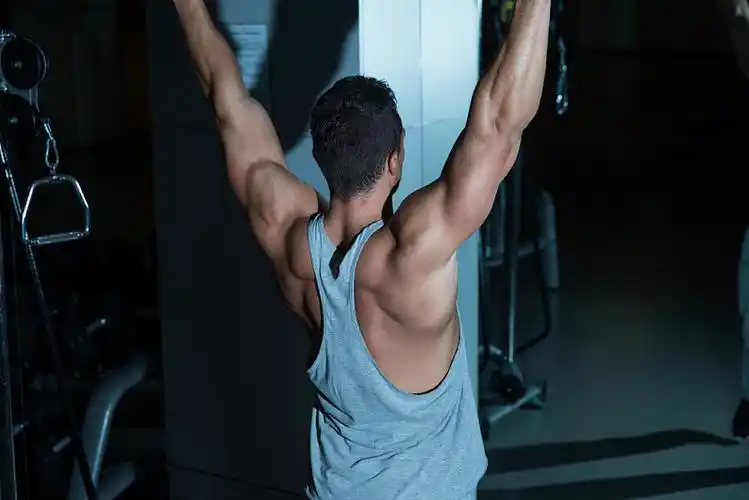 健身,训练,背影,年轻,运动员,下巴_高清图片_全景视觉