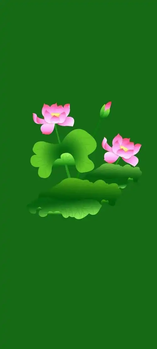 清新绿色护眼荷花壁纸