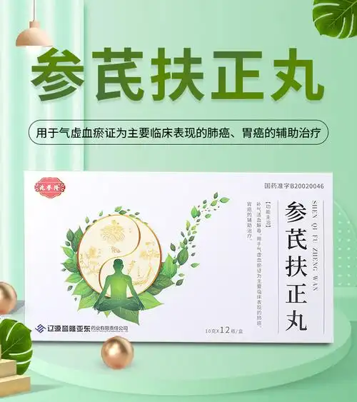 【参芪扶正丸】价格_功效与副作用_说明书-康德乐大药房