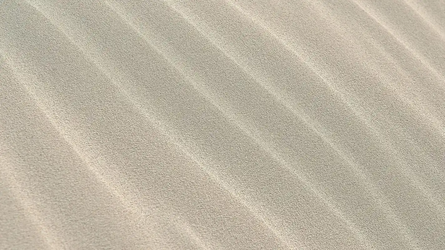 纯色的简约设计