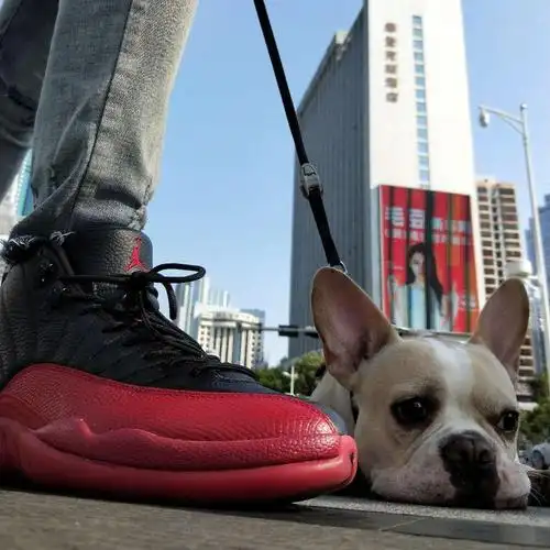 惊现nike dunk sb 四大城市限定!| 一日晒鞋 第489期