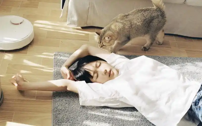 谁有诸葛大力成果的电脑壁纸啊求求求