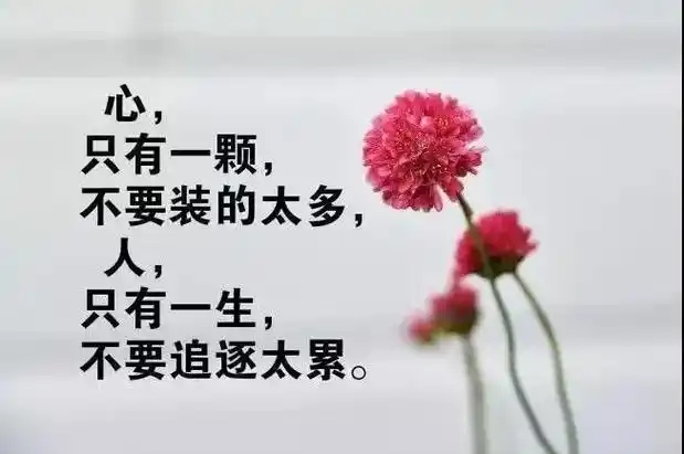 句句精辟的人生感悟经典语录(句句深入人心的经典句子)