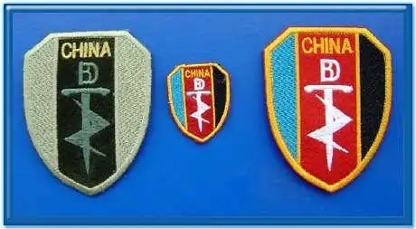 引用 中国特种部队简介[图文]