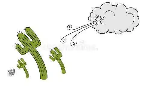 天气预报说早上有风_(今天的天气预报有风吗)