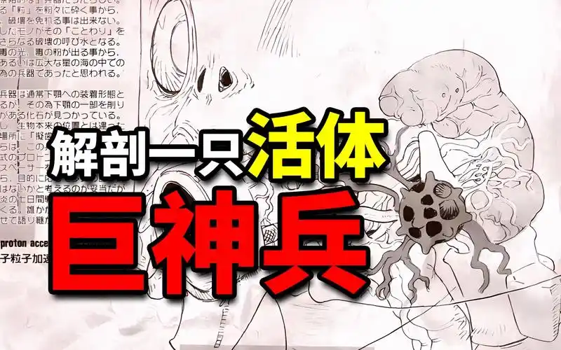 带你解剖一只活体巨神兵! - 视频下载 video downloader