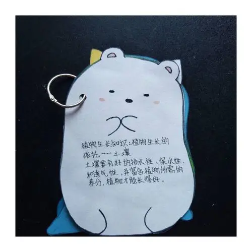 一张张精美的小卡片,就是一个个绿色的小锦囊,把知识装进口袋里