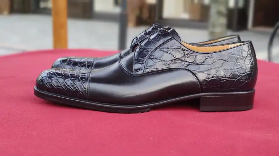 铁狮东尼鳄鱼皮