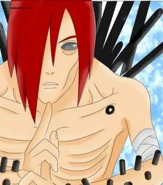 火影忍者轮回眼的进化理论之长门的计划