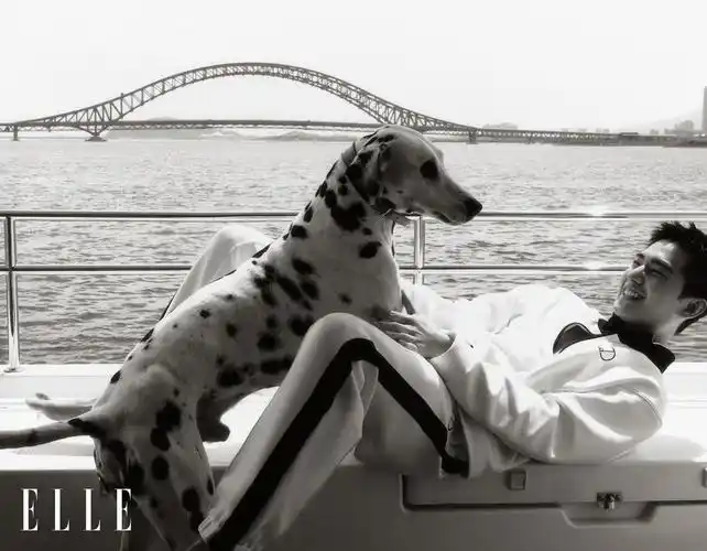 杨洋《elle》七月刊封面 夏日航行享受惬意假期__凤凰网