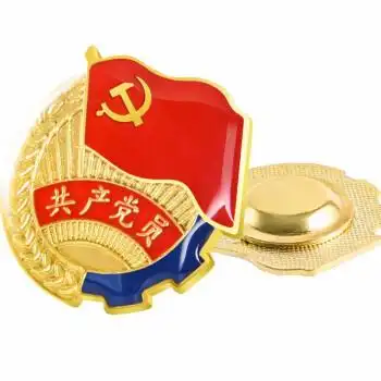 别针/蝴蝶扣  标准党员党徽 胸章别针党员胸章 新款蓝边党徽 磁扣5个