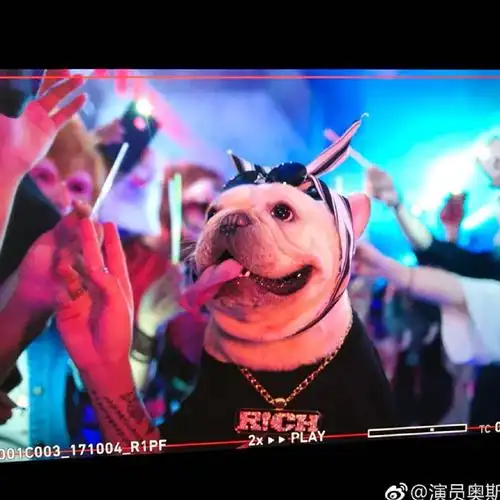 演员奥斯卡oscar