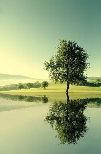 所谓"神静而心和,心和而形全;神躁则心荡,心荡则形伤