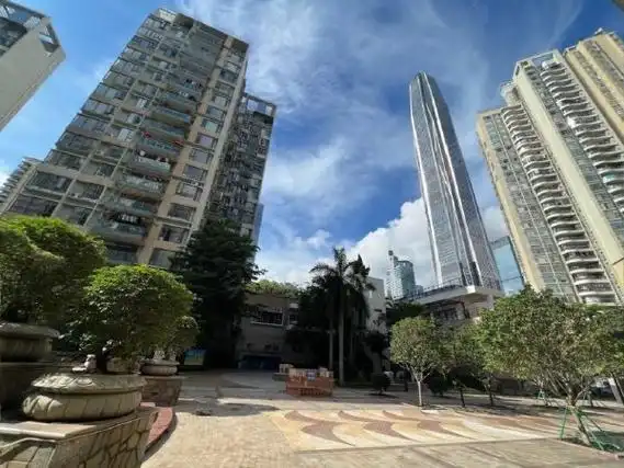 深圳福田福田中心区城中雅苑城中雅苑精装修房2室,采光好,低价出租