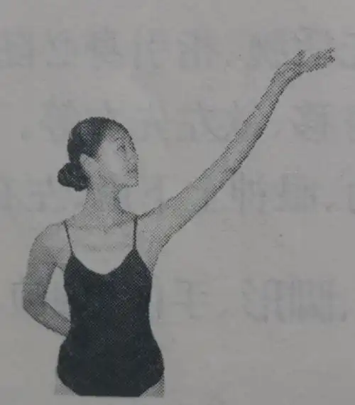 扬掌位:手臂举过头侧斜上方,手心对内侧