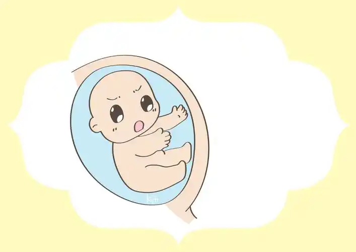 怀孕之后这几种状况说明胎儿发育有问题