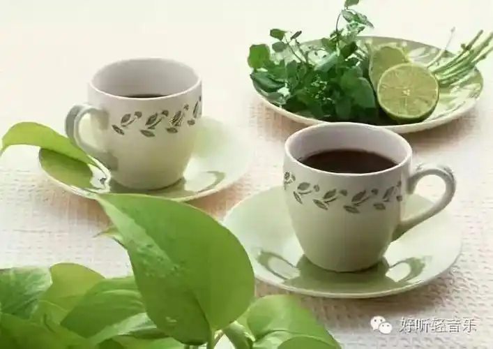 神秘园 | 《the promise 誓言》源自心灵对心灵的呼唤