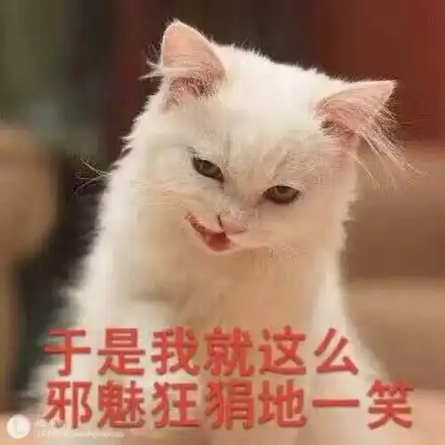 斗图表情包 - 斗图神器 - adoutu.com