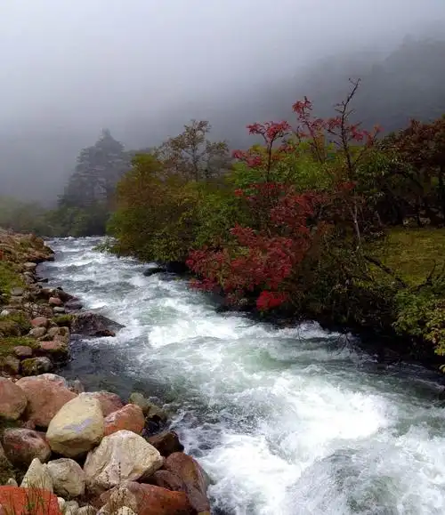 小河流水汹涌 贡嘎山