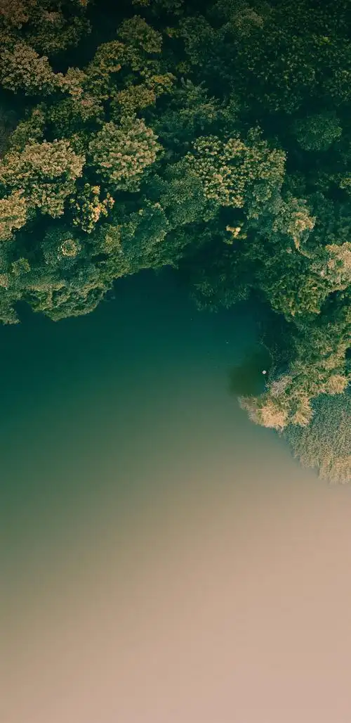 iphonexxrxsxsmax系列壁纸