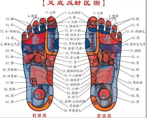 《暗黑医疗史》,苏上豪 著,现代出版社,2016年9月   说到脚底按摩,我